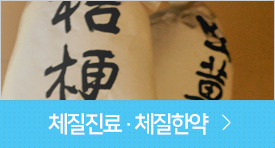 체질진료체질한약