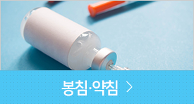 봉침약침